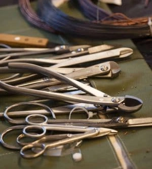 Different Types of Scissors and Their Uses 1 Gardening Shears