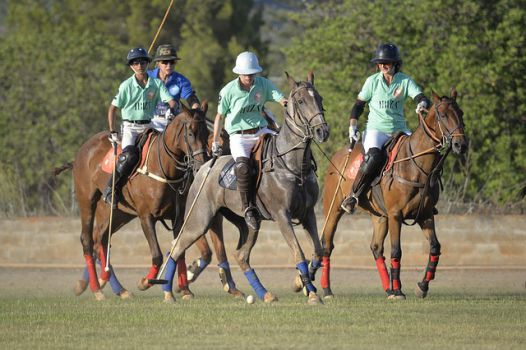 Polo Players