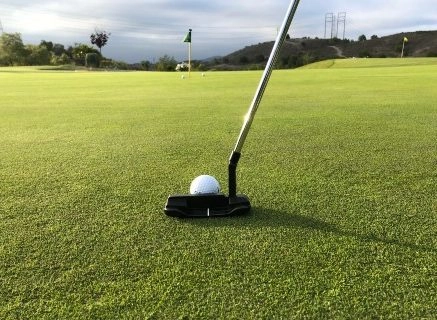 Left Handed Putter Shaft