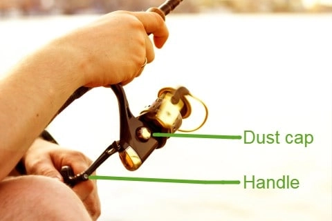 Spinning Reel With the Handle on the Left