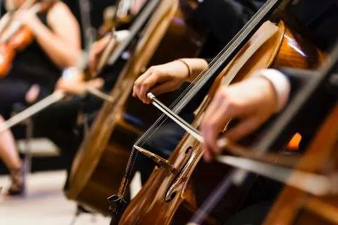Is There Such a Thing As a Left Handed Cello? 3 Can You Play Cello Left Handed