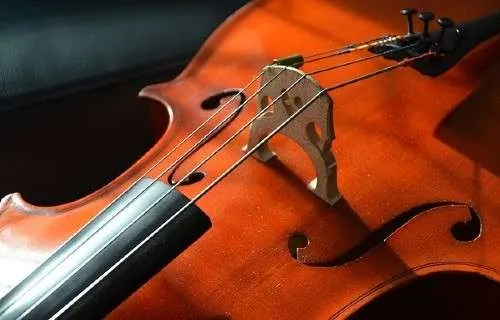 Is There Such a Thing As a Left Handed Cello? 1 Why Can't Cellos Just Have Flipped Strings