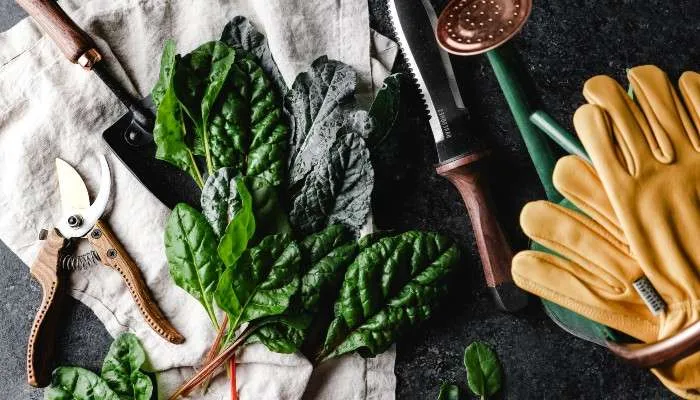 Garden Tools for Left Handed People